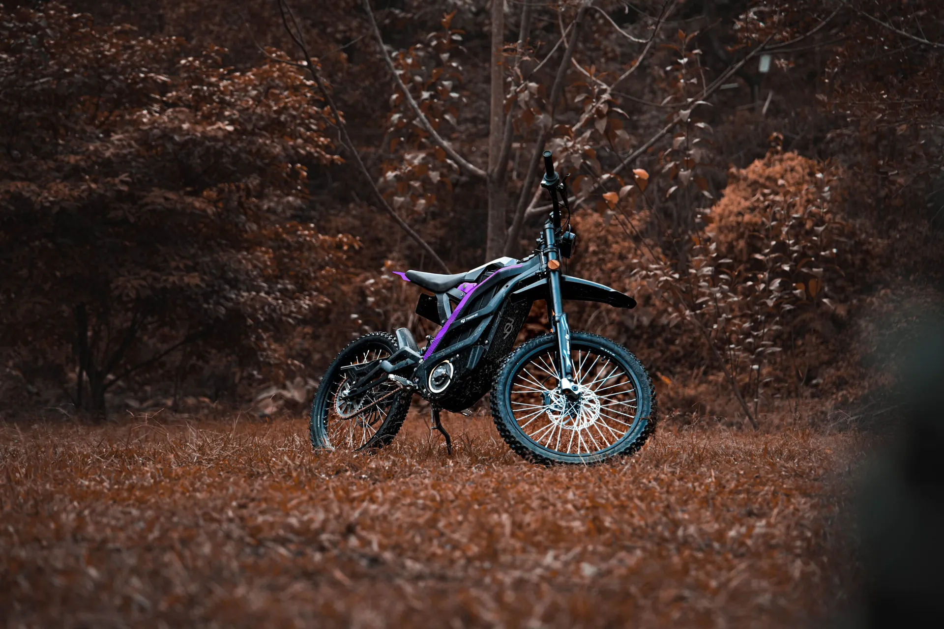 Falcon PRO v lese